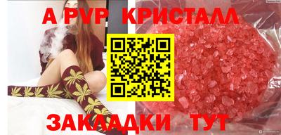 СК Камышлов