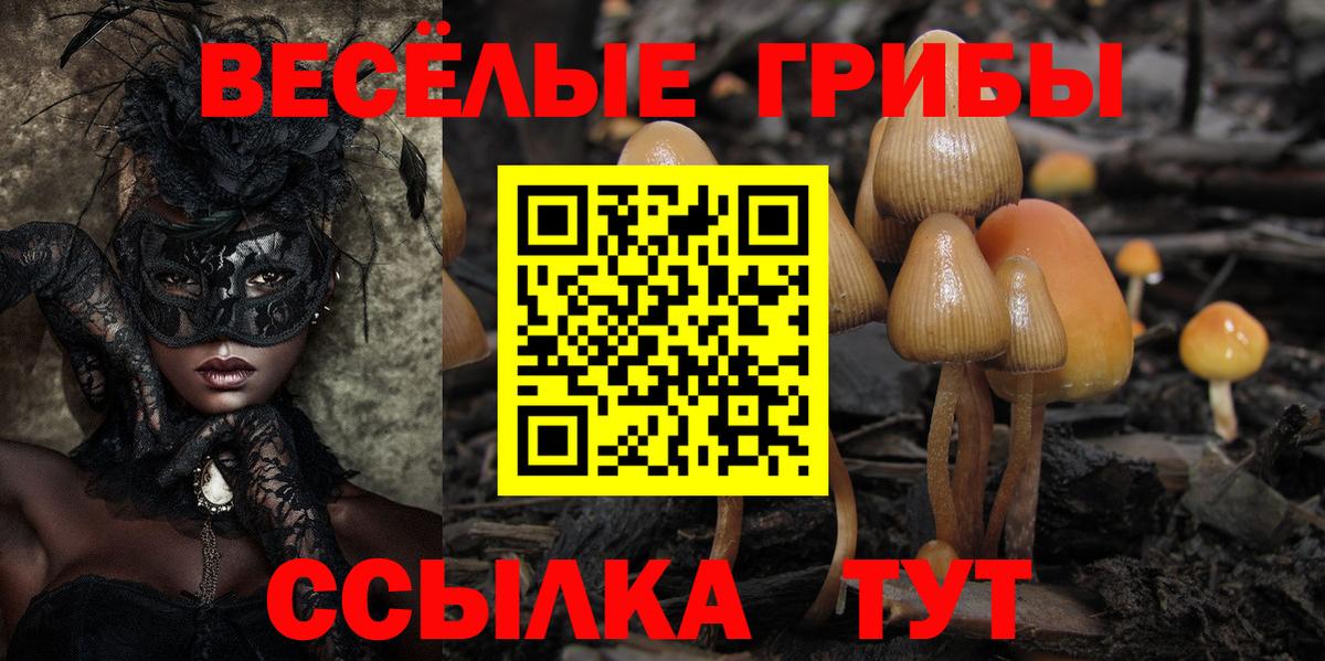 Псилоцибиновые грибы Cubensis  Вход с VPN  купить наркоту  Маркс 