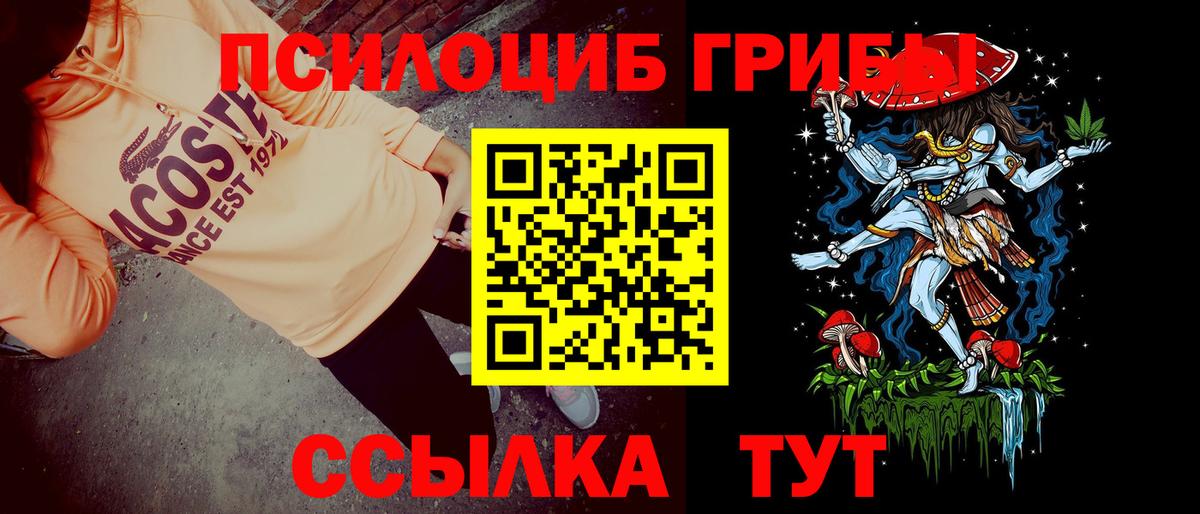 Галлюциногенные грибы Psilocybine cubensis  Маркс 