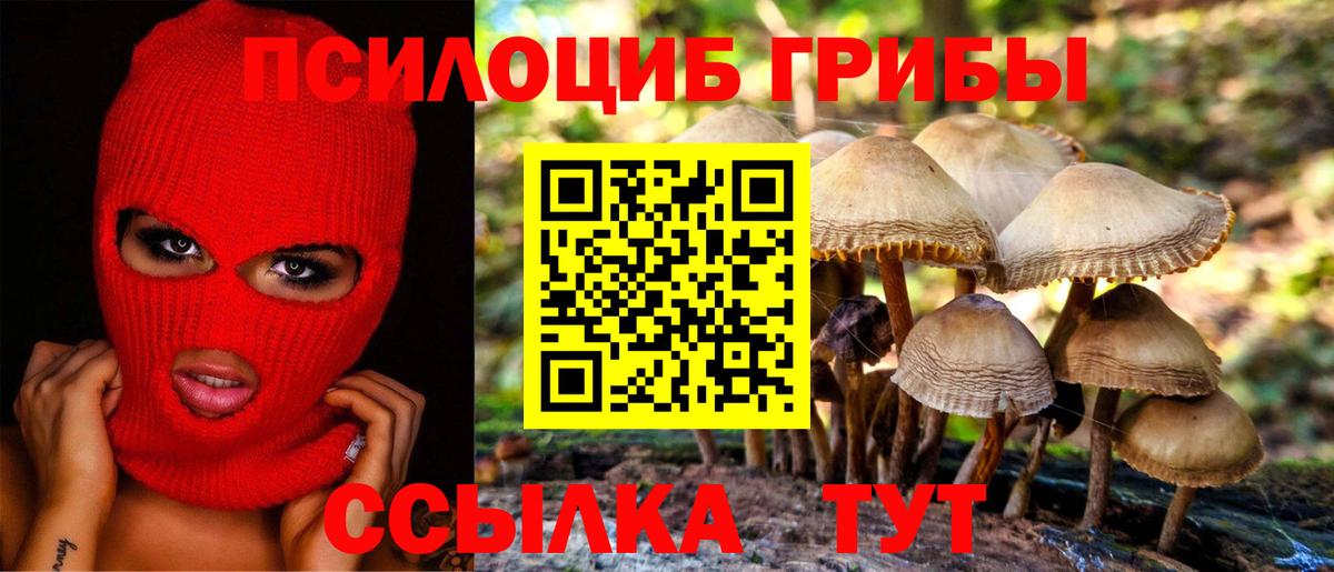 Псилоцибиновые грибы прущие грибы Маркс