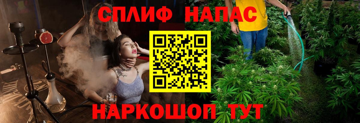 Марихуана планчик  Бошки марихуана марихуана  Шишки марихуана гибрид  Маркс  Вход с VPN 